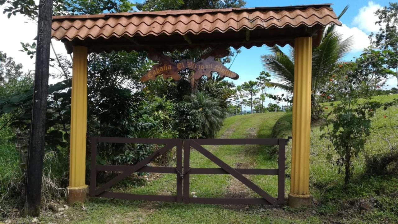 Cabana El Viejo Del Monte Venecia Buitenkant foto